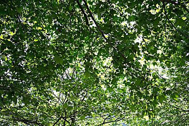 网传育碧免费FPS《不羁联盟》将于10月28日上线